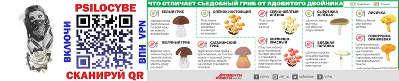 Купить где  Кемь  Псилоцибиновые грибы ЛСД 